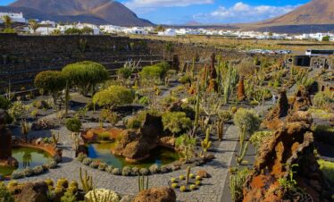 Jardin De Cactus De Lanzarote